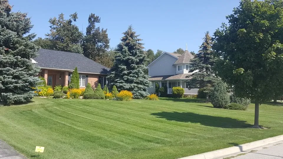 Lawn fertilizing and grounds care in Midhurst