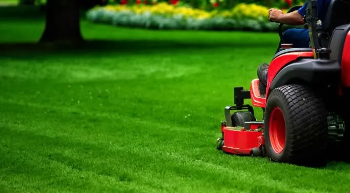 Lawn mowing in Midhurst