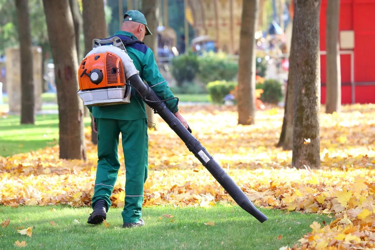 Spring and fall property cleanup in Barrie