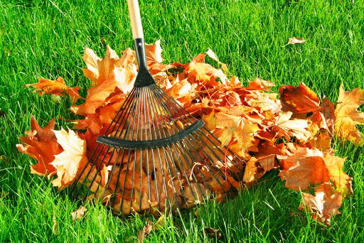 Spring and fall property cleanup in Midhurst